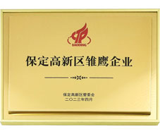 高新區(qū)雛鷹企業(yè)